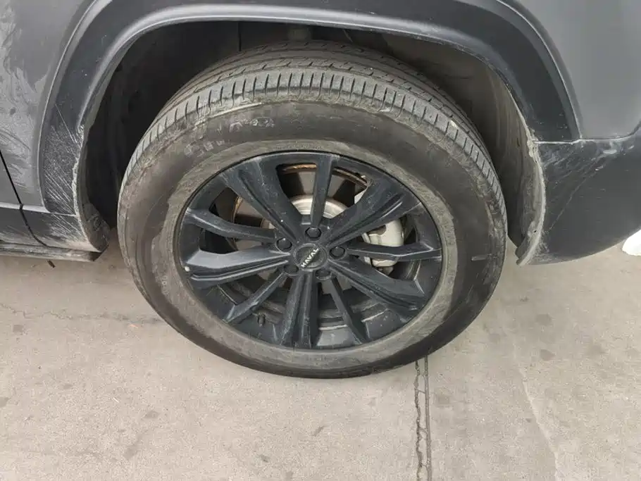 Haval Raptor 2025 2024 Hi4 102 Pro
