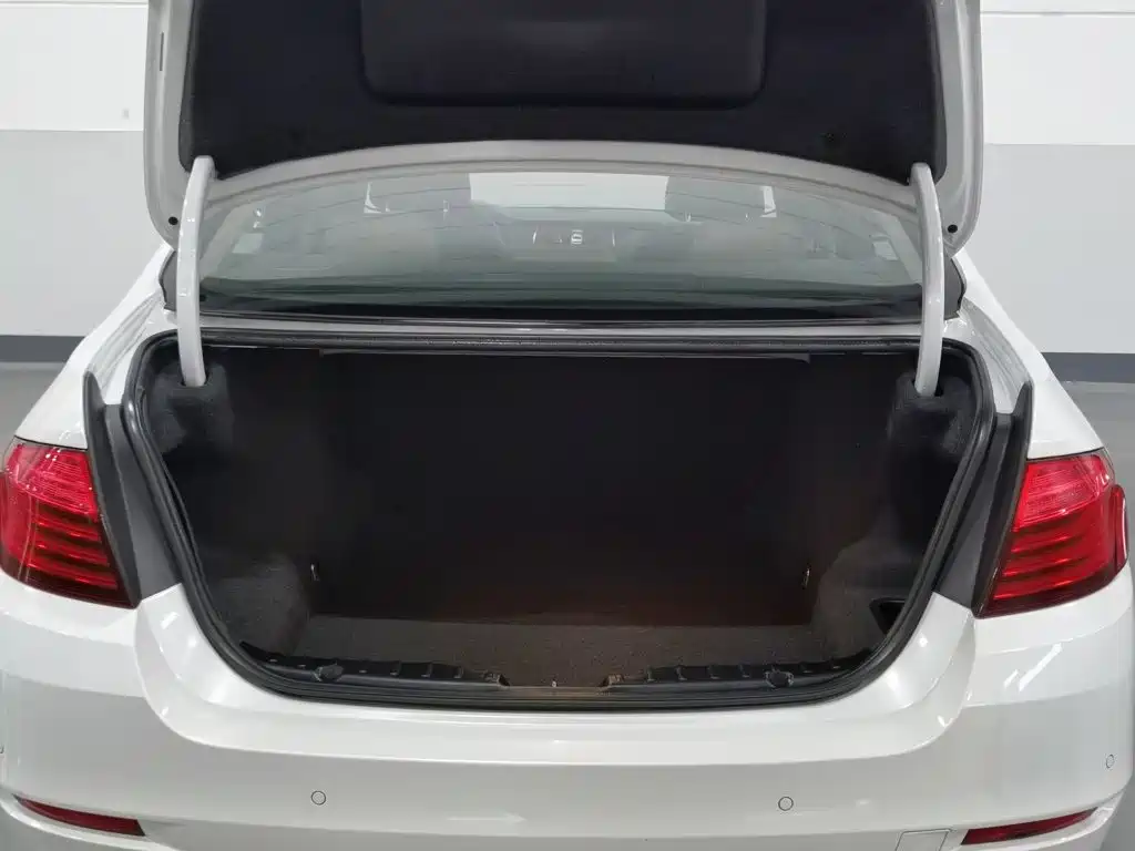 BMW 5 Series (Import) 2015 2014 520i Classic