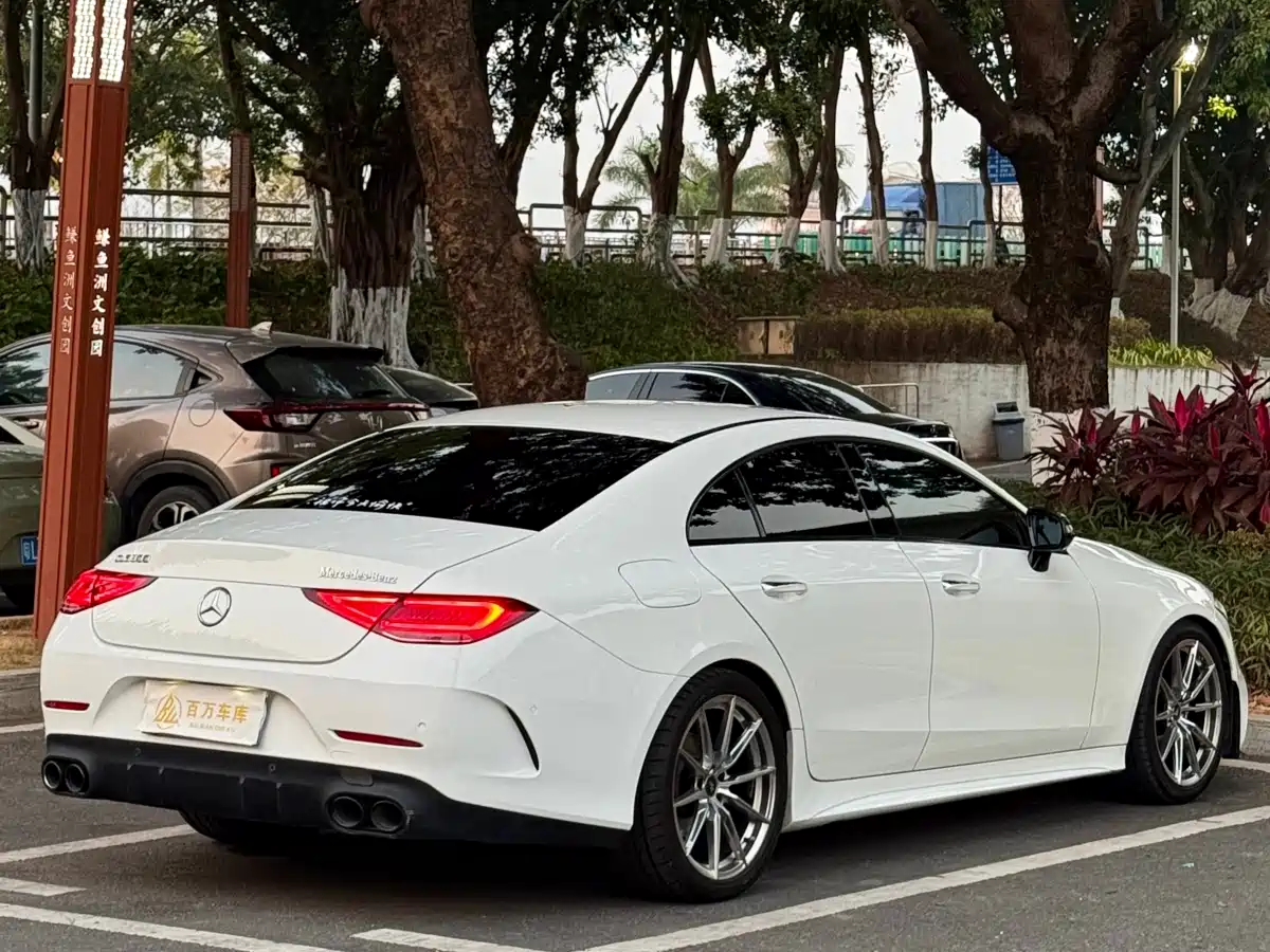 Mercedes-Benz CLS 2018 CLS 300 Dynamic фото 6
