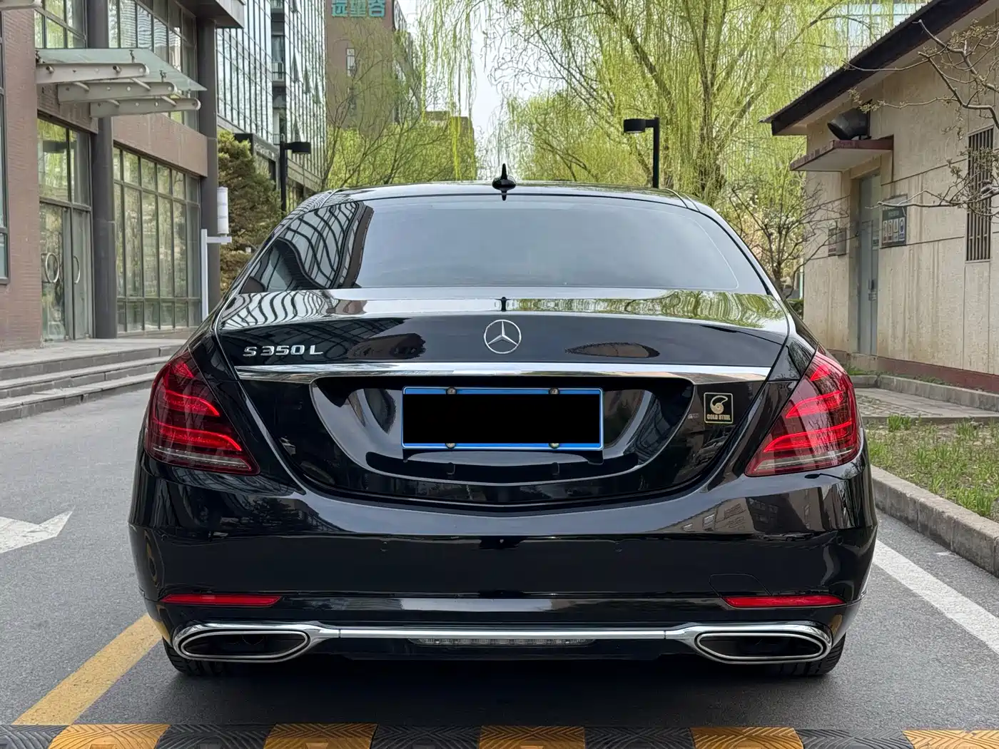 Mercedes-Benz S-Class 2018 S 350 L фото 6
