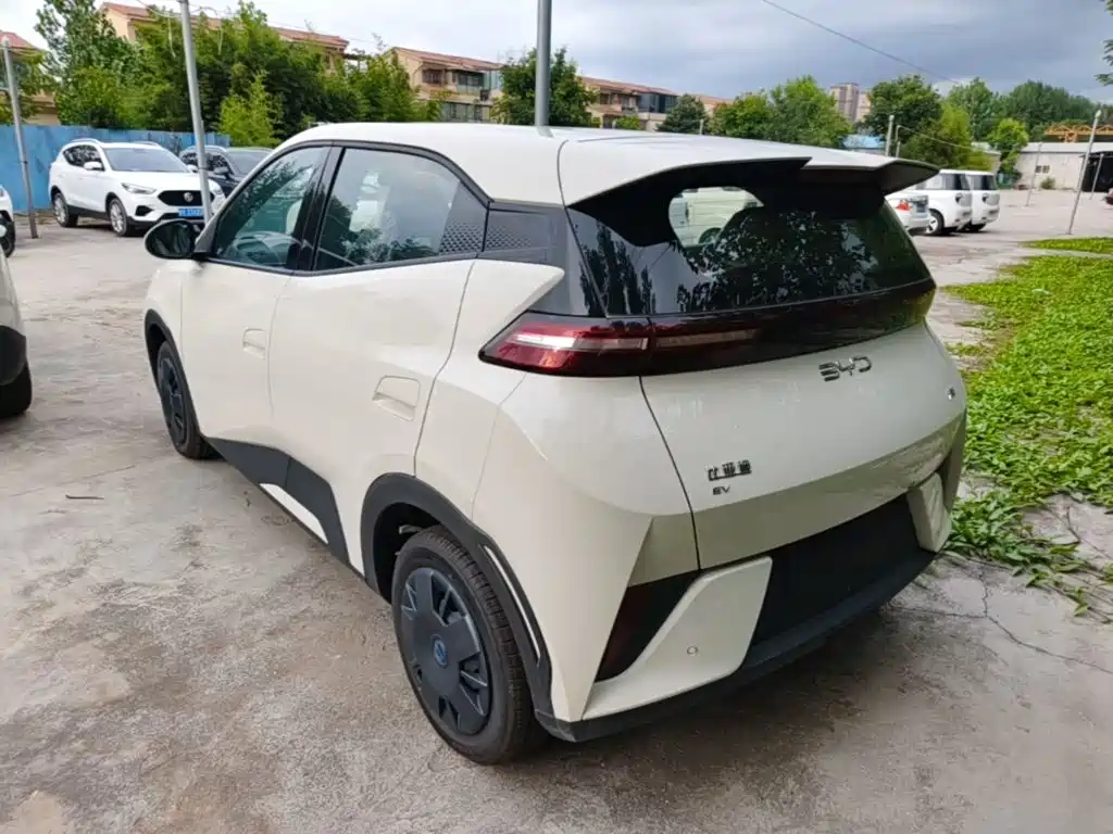 BYD Seagull 2026 2025 Smart Drive Edition 305km Vitality Version
