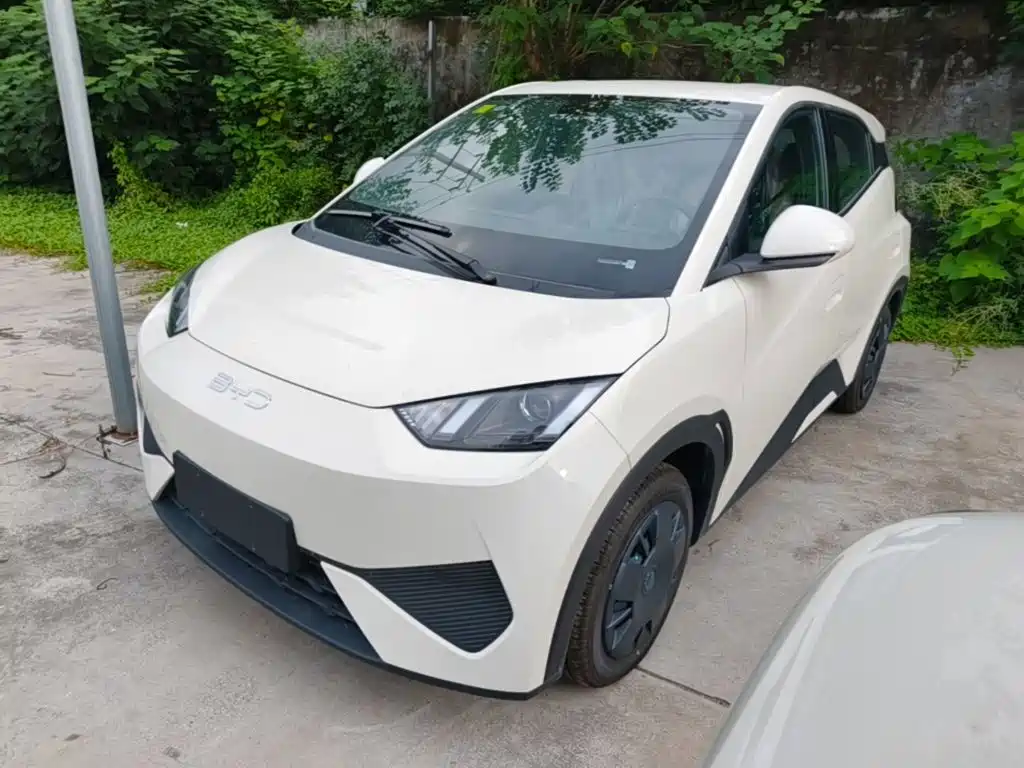 BYD Seagull 2026 2025 Smart Drive Edition 305km Vitality Version