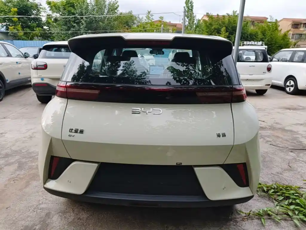 BYD Seagull 2026 2025 Smart Drive Edition 305km Vitality Version