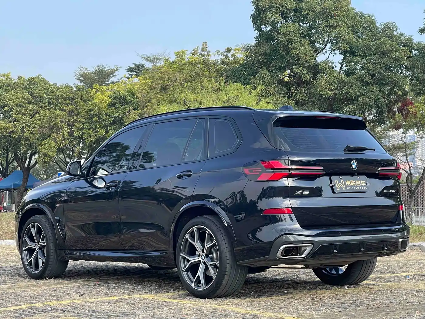 BMW X5 2023 xDrive 30Li Premium M Sport Black Night Package фото 6