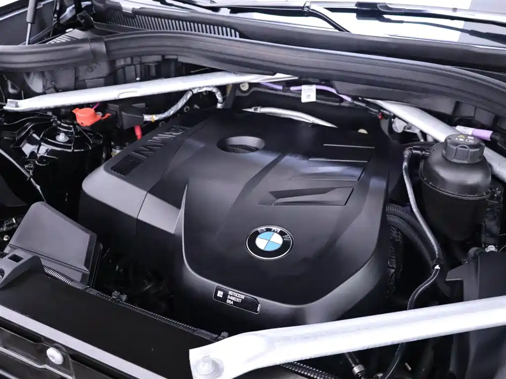 BMW X5 2023 xDrive 30Li Premium M Sport Black Night Package фото 26