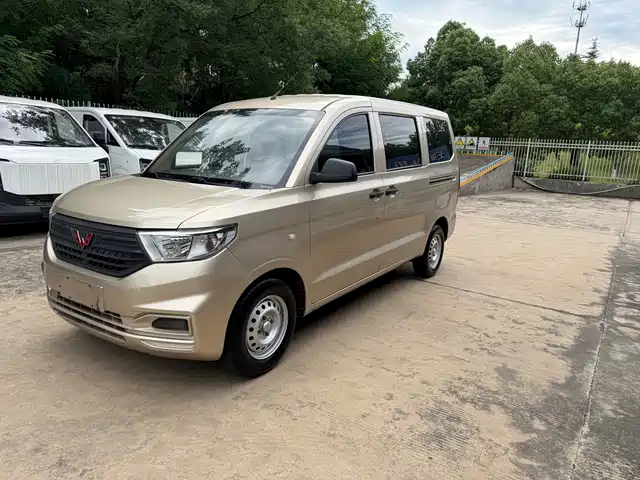 Wuling Motors Wuling Hongguang V 2020