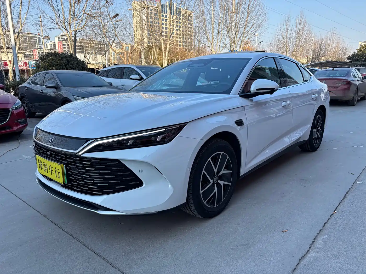 BYD Qin L 2024 DM-i 120KM Superior Edition