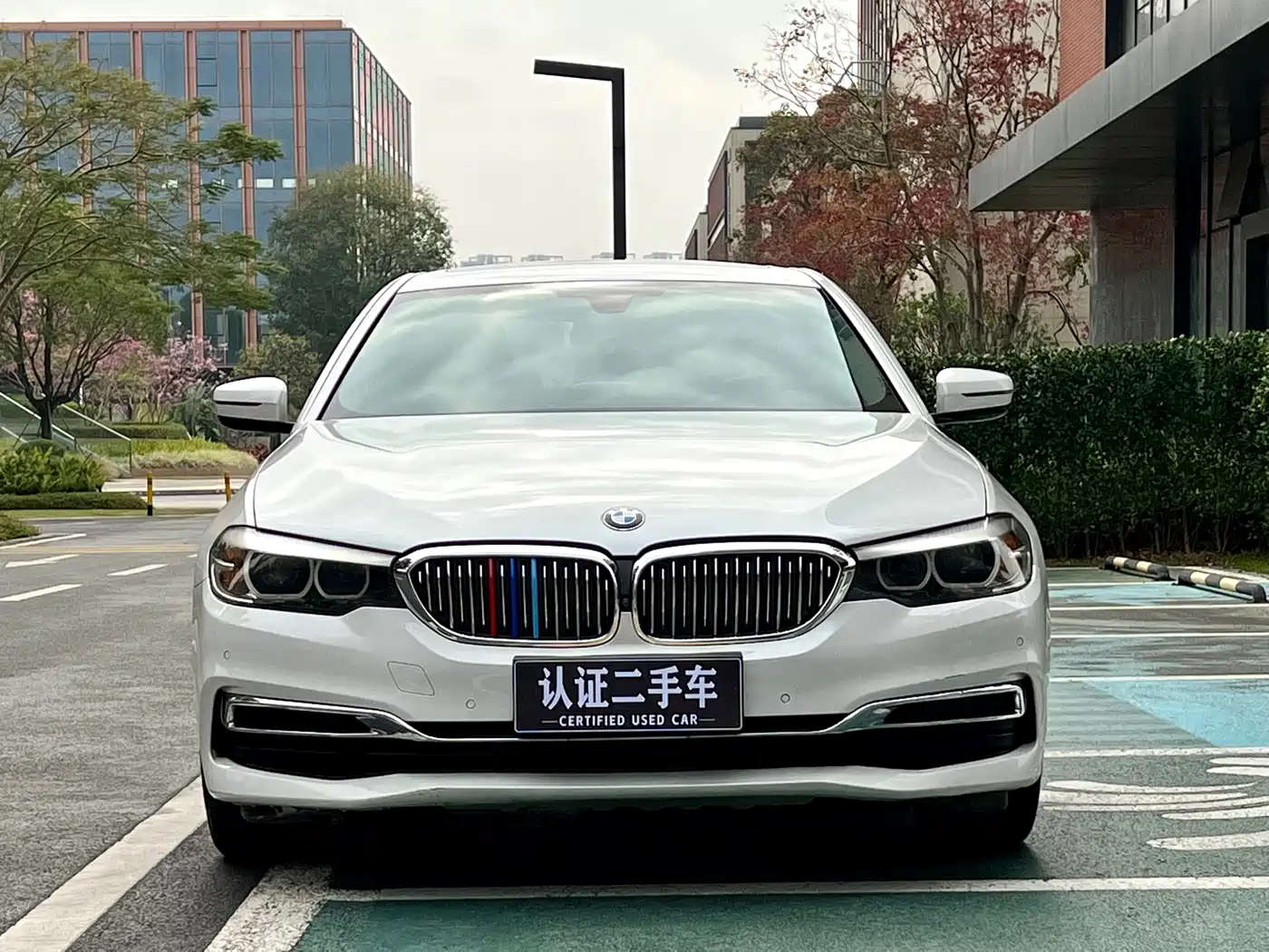 BMW 5 Series 2019 530Li Leading Luxury Package фото 2