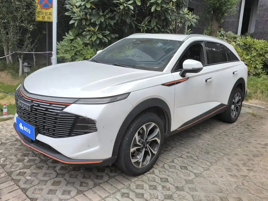 Haval Shenshou 2022 2022 2.0T Smart Premium Edition