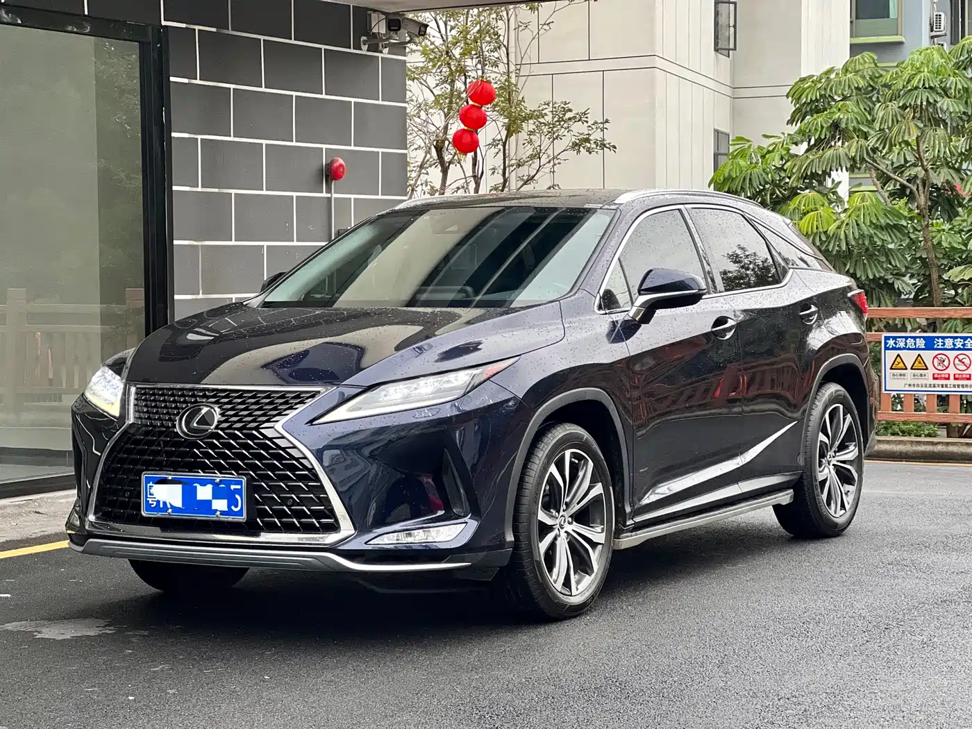 LEXUS RX