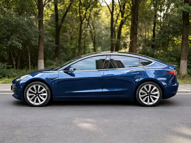 Tesla Model 3 2019 Standard Range Rear-Wheel Drive Upgrade — фото 3