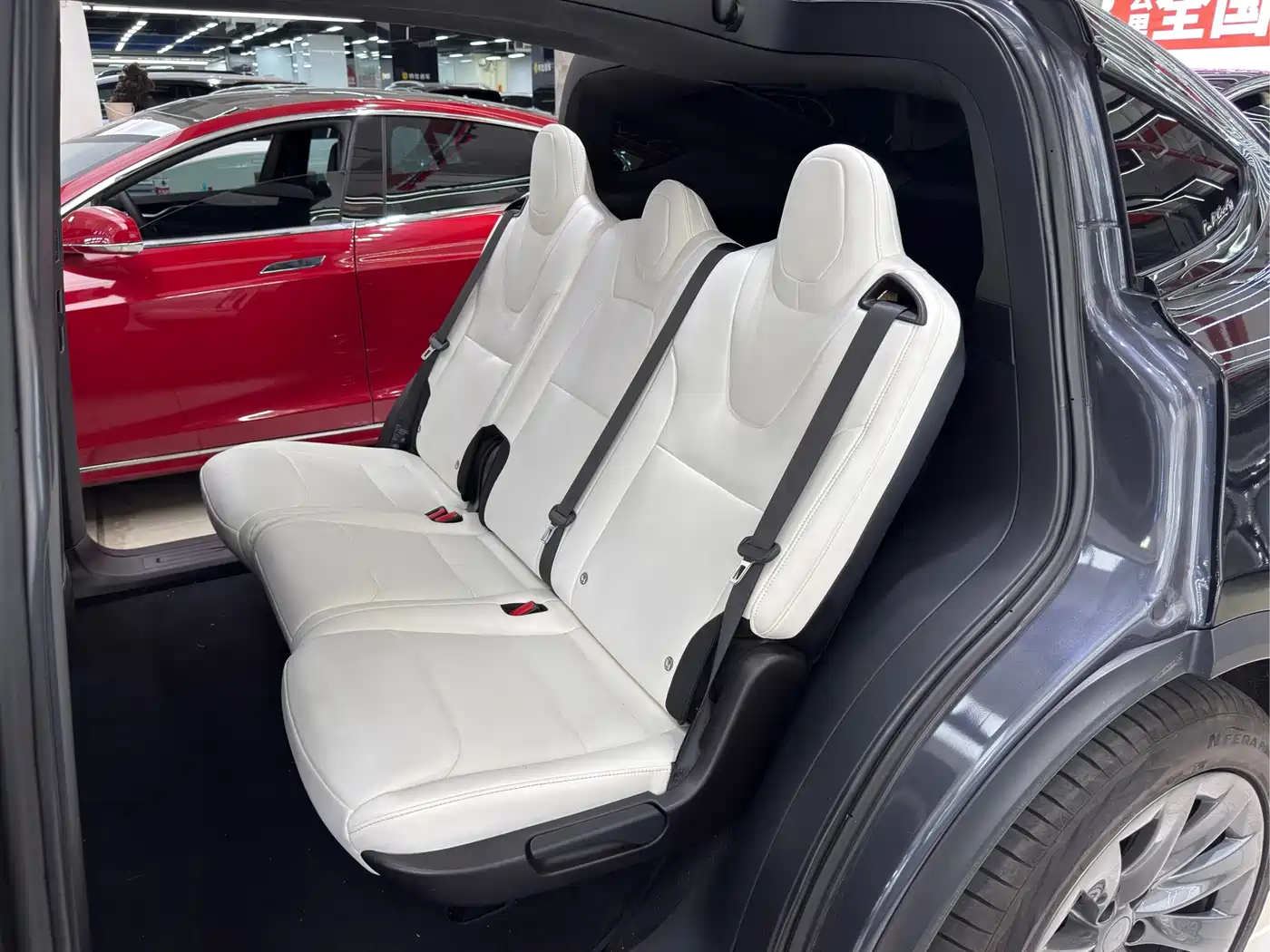 Фото 16 - Tesla Model X