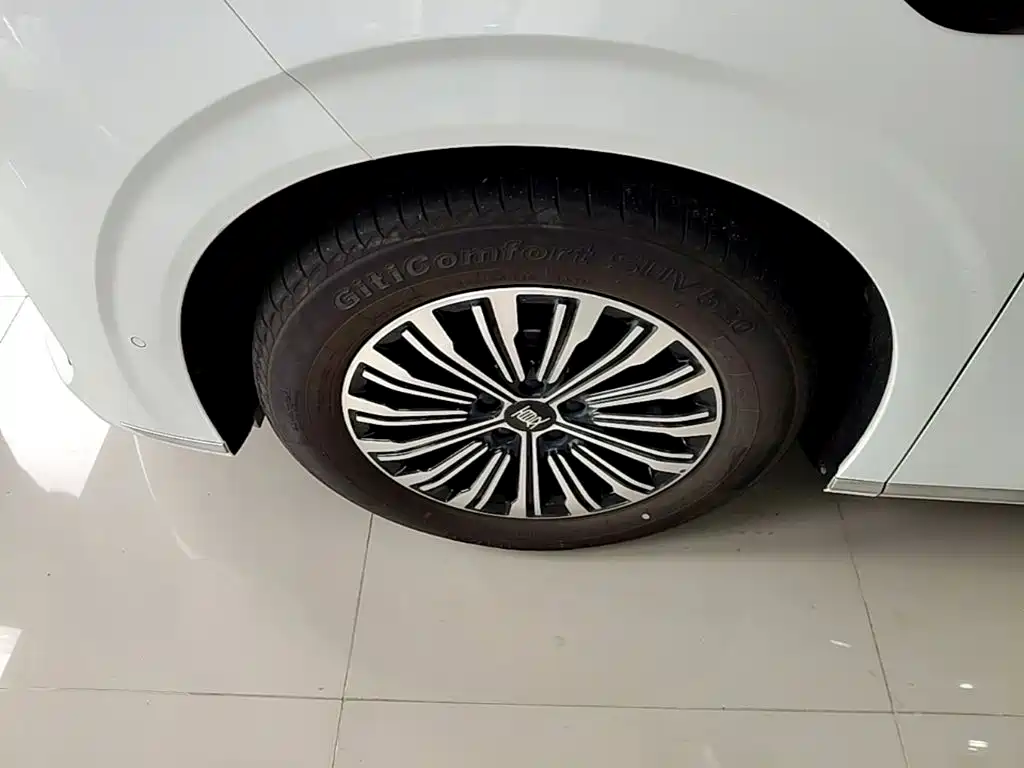 BYD Xia 2025 2025 DM-i 1.5T 180km Surpass Edition