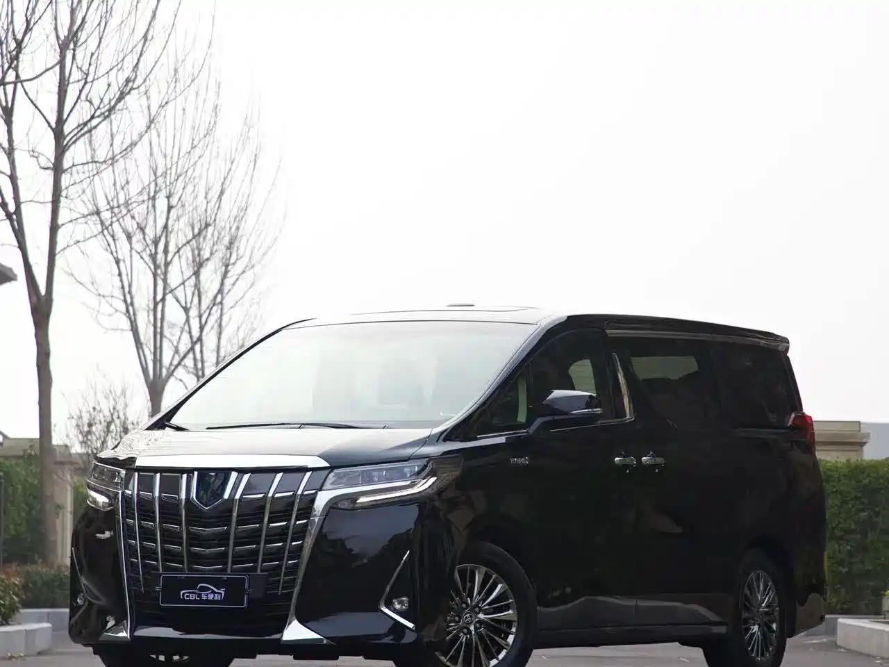 Toyota Alphard 2021 Hybrid 2.5L Ultimate фото 6