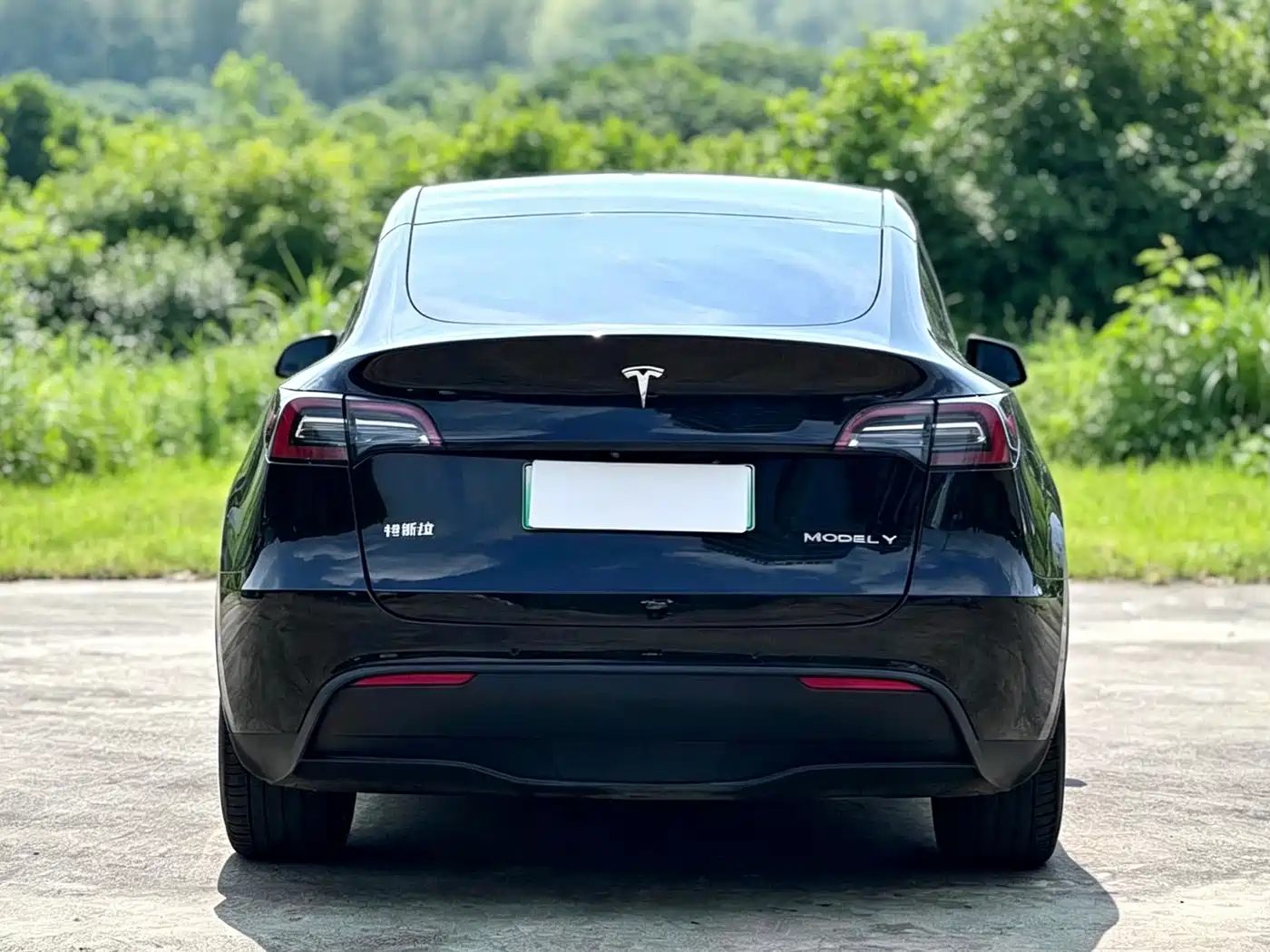 Tesla Model Y 2021 2021 Model Long Range AWD