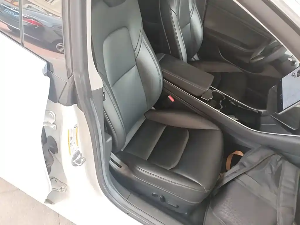 Tesla Model 3 2020 2020 Standard Range Rear-Wheel Drive Upgrade