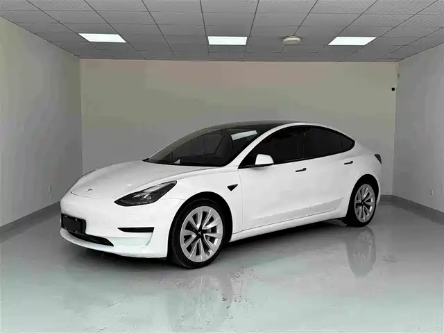 Tesla Model 3 Задний привод