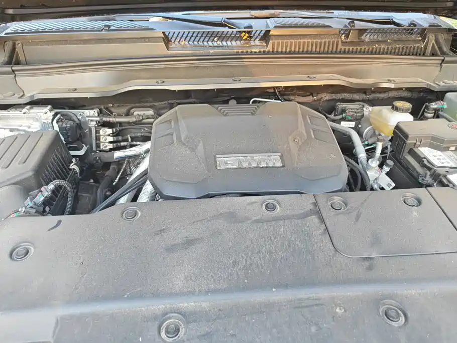 Tank 400 2025 2025 2.0T Gasoline Version