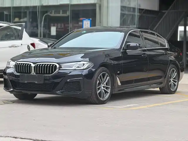 BMW 5 Series New Energy 2020