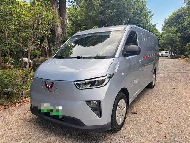 Wuling Motors Wuling Yangguang 2024