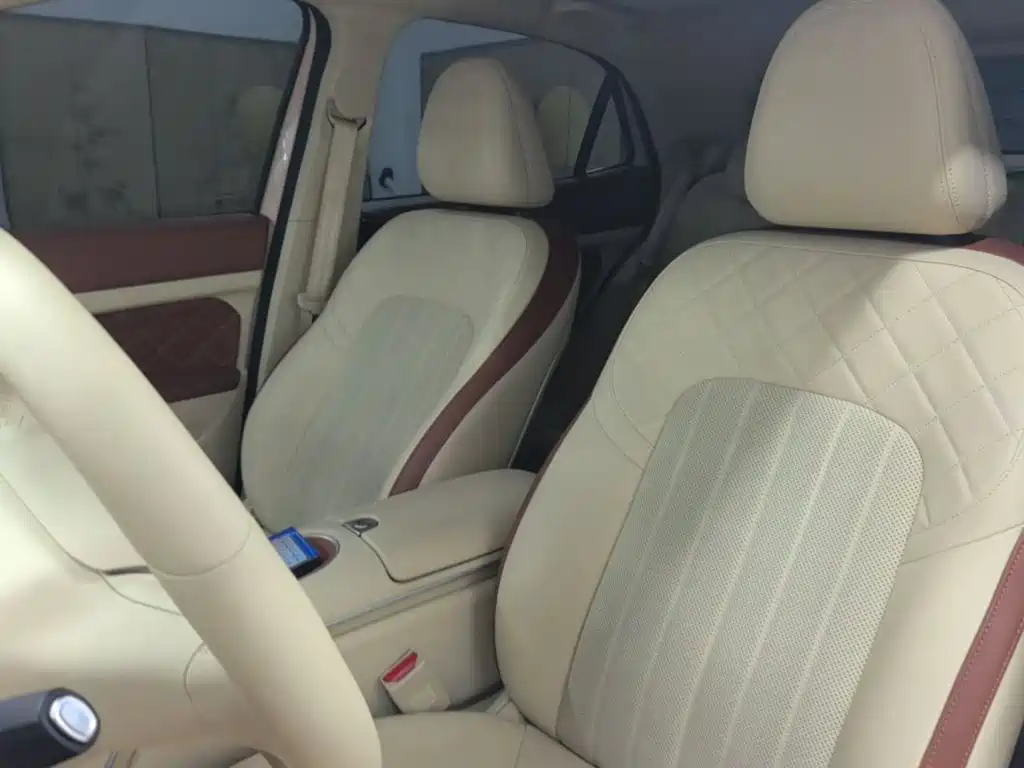 Ora Good Cat 2025 2025 Model 430km Luxury