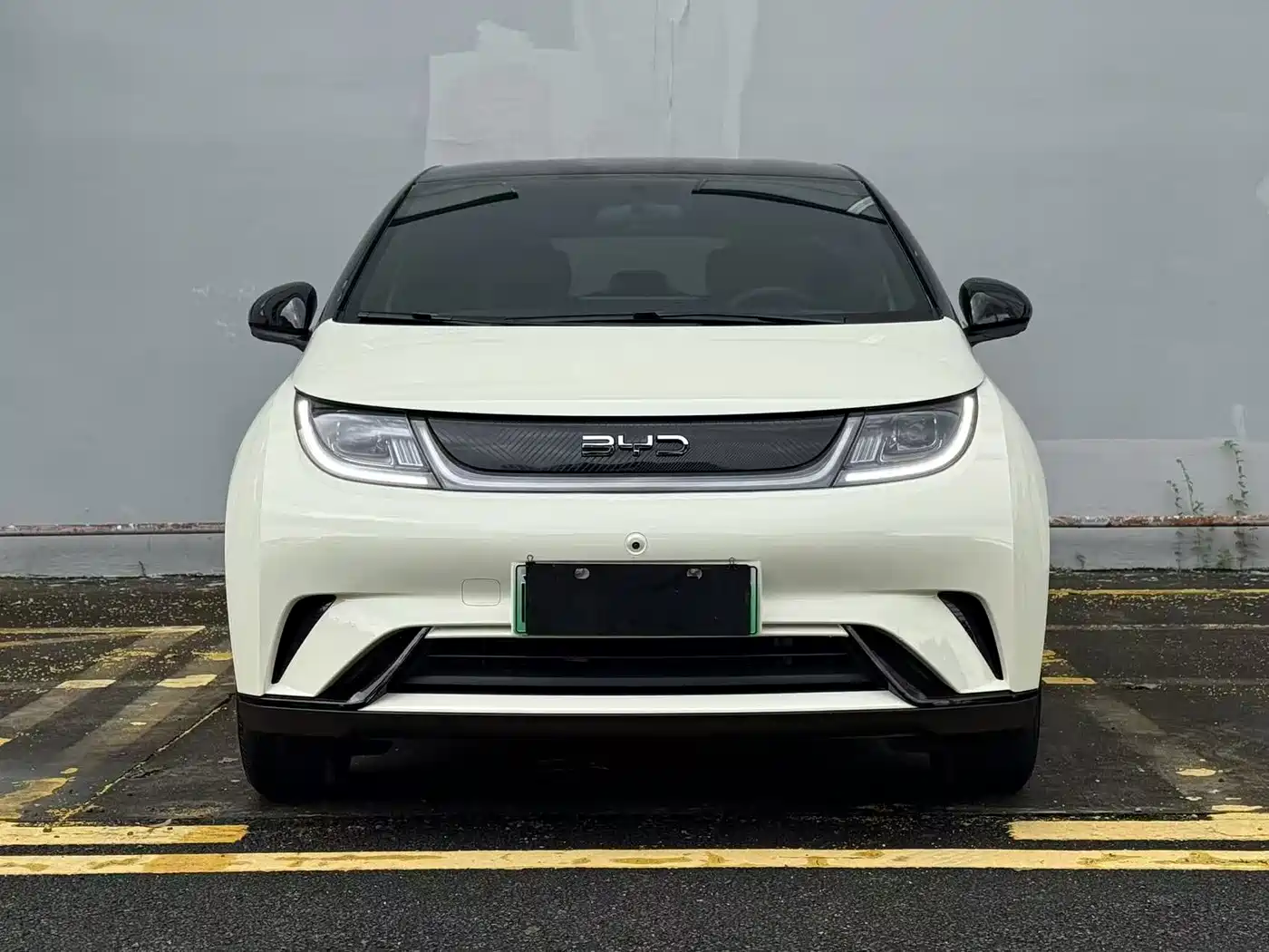 2026 BYD Dolphin
