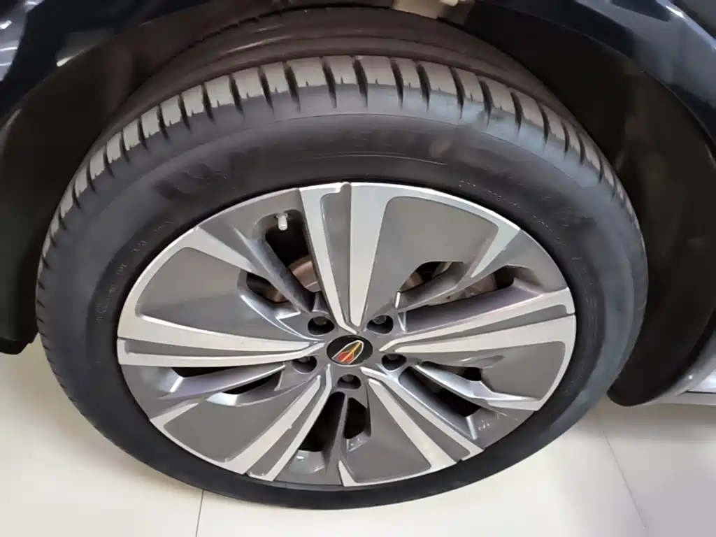 Hongqi E-HS9 2023 2022 690km Qi Xiang Edition (6-seater)