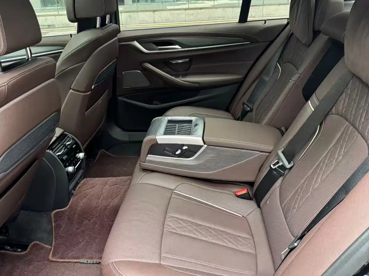 BMW 5 Series 2021 530Li Premium M Sport Package фото 9