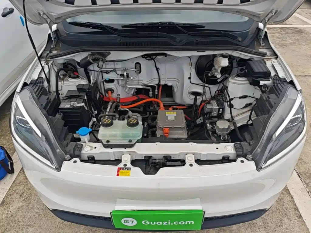 Фото 20 - Wuling Motors Wuling Hongguang New Energy