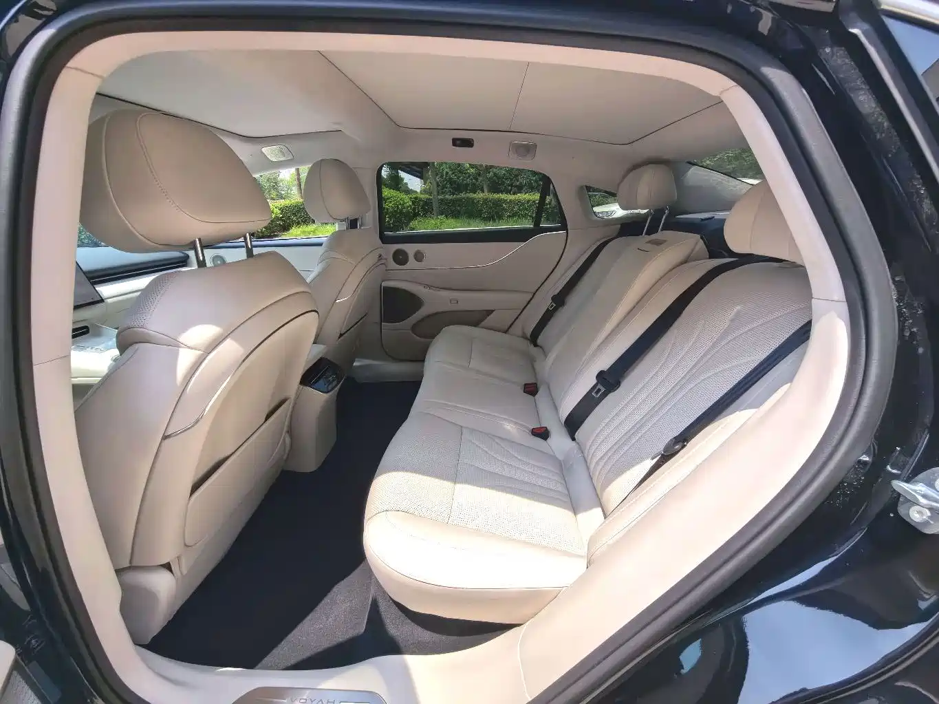 Voyah Auto VOYAH Zhuiguang L 2025 2025 Mid-configuration Model