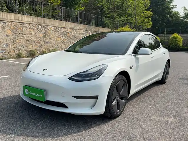 Tesla Model 3 (Import) 2019