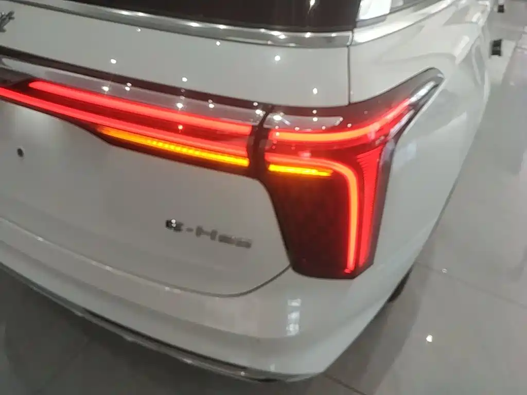 Hongqi E-HS9 2023 2022 660km Qi Chang Edition (6-seater)