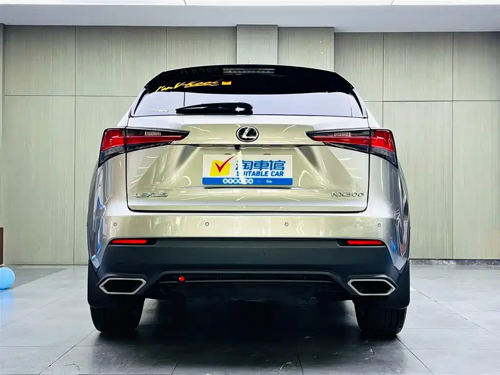 Lexus NX 2018 Model 300 AWD Fengshang Edition фото 5