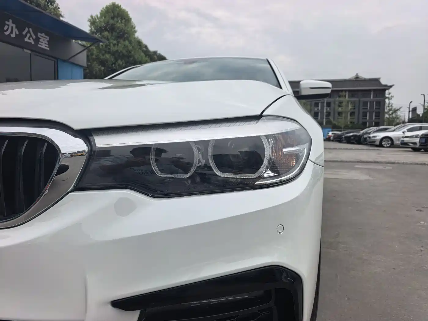 BMW 5 Series 2019 530Li Leading M Sport Package фото 9