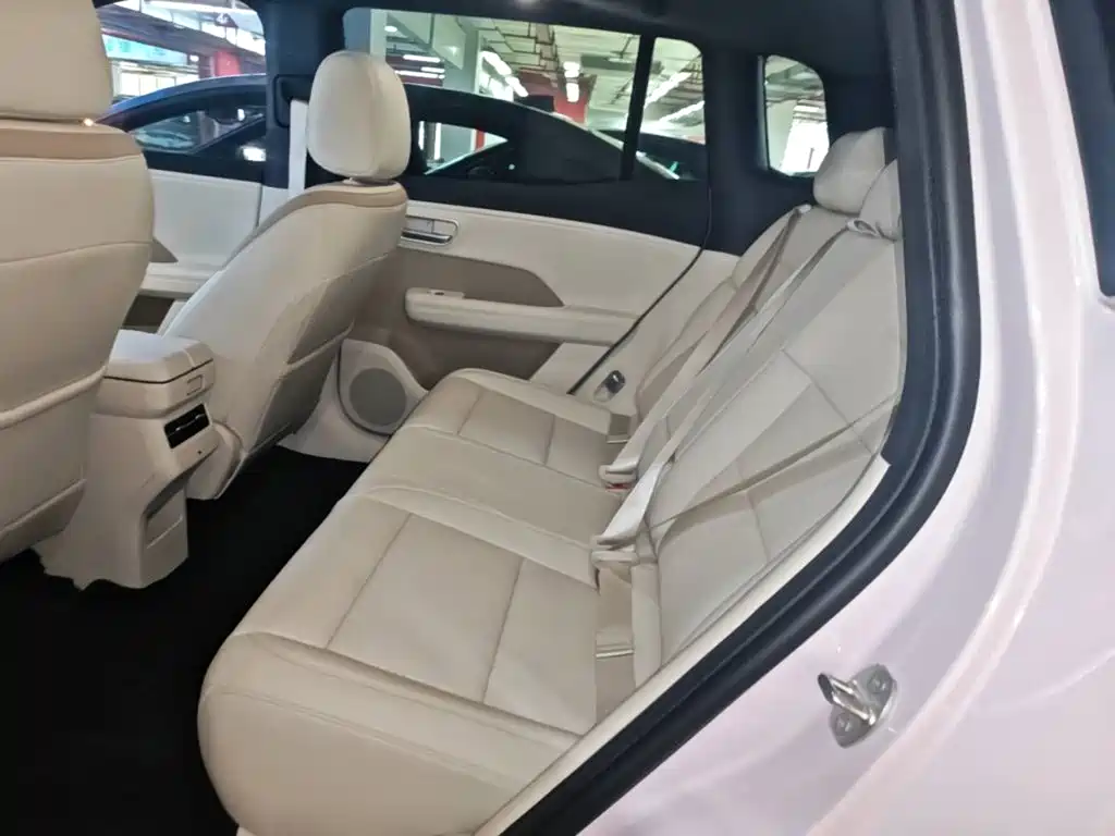 Фото 17 - Toyota BoZhi 3X