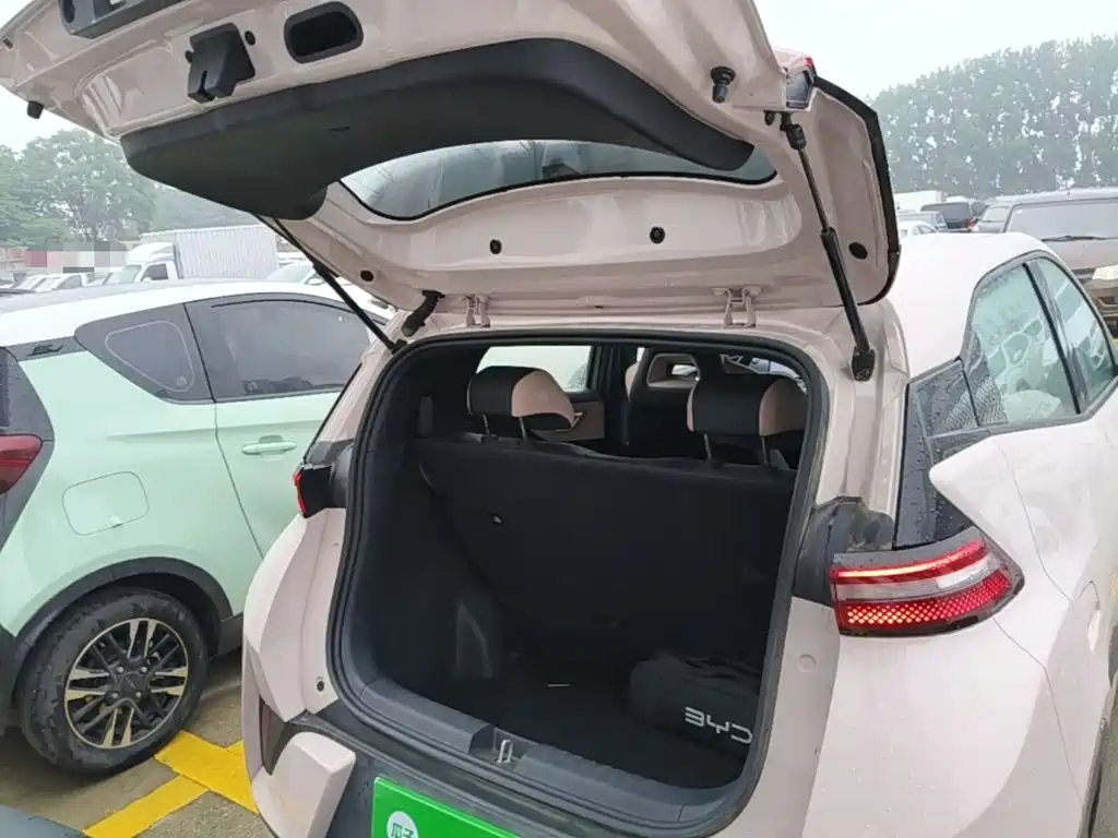 BYD Seagull 2026 2025 Smart Drive Edition 305km Freedom Version