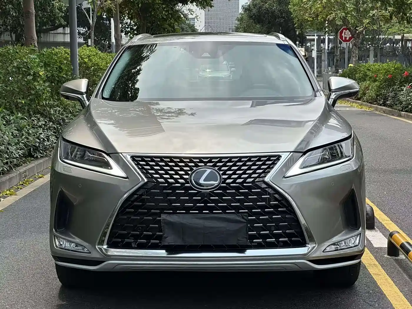 Фото 11 - Lexus RX