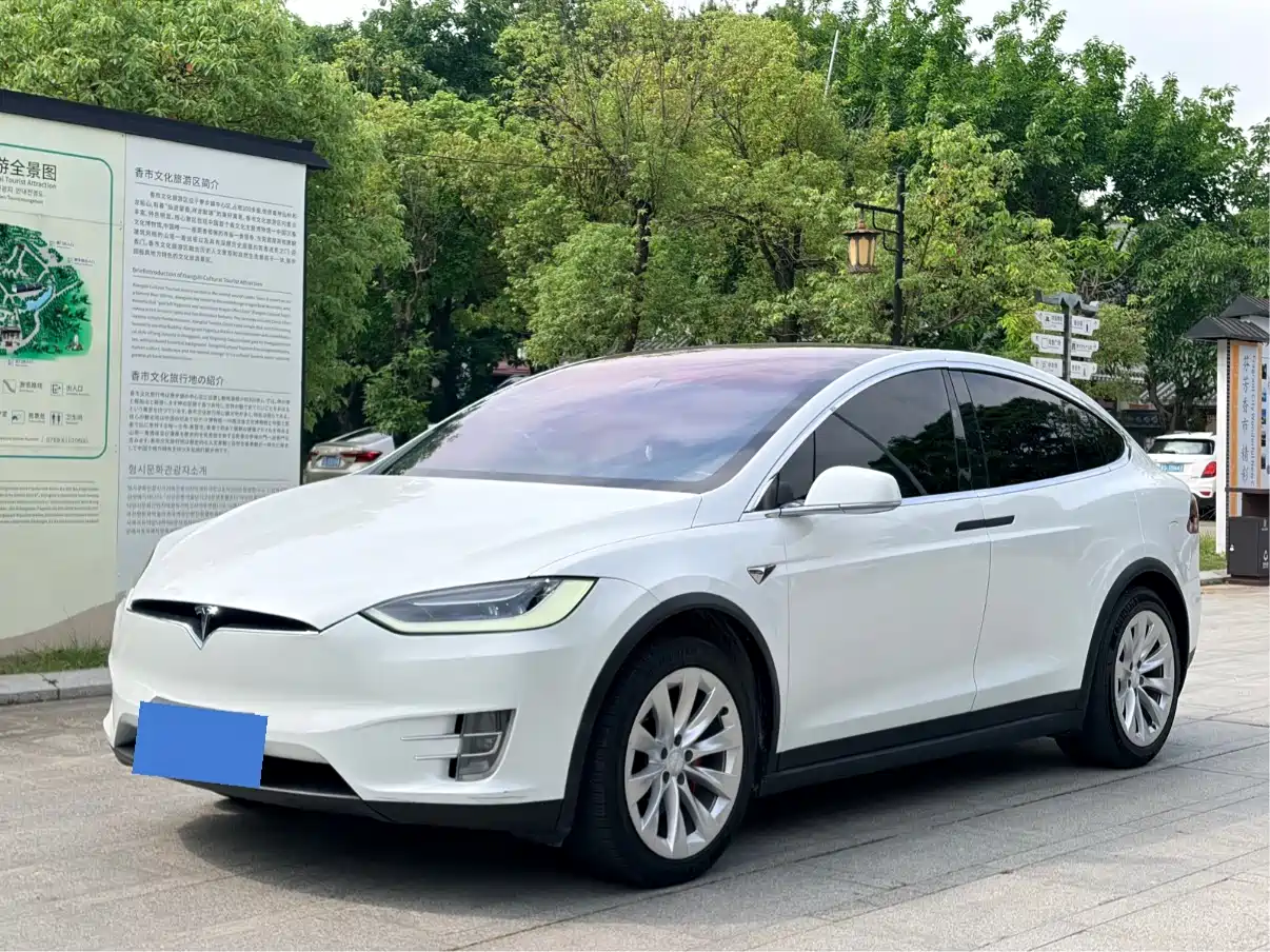 TESLA MODEL X 2019