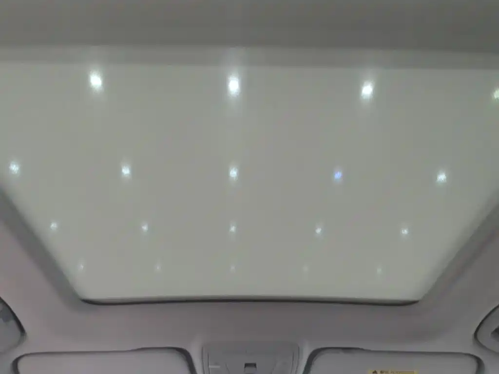 Hongqi HS5 2025 2025 2.0T 2WD Qixiang Pro