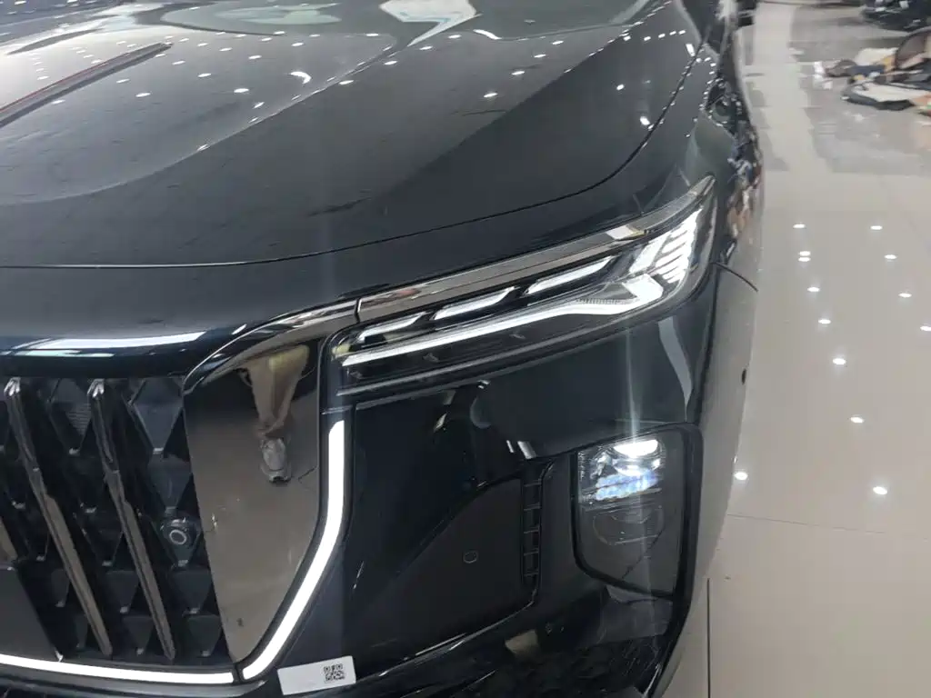 Hongqi H9 2026 2024 2.0T Qi Chang Private Fashion Edition