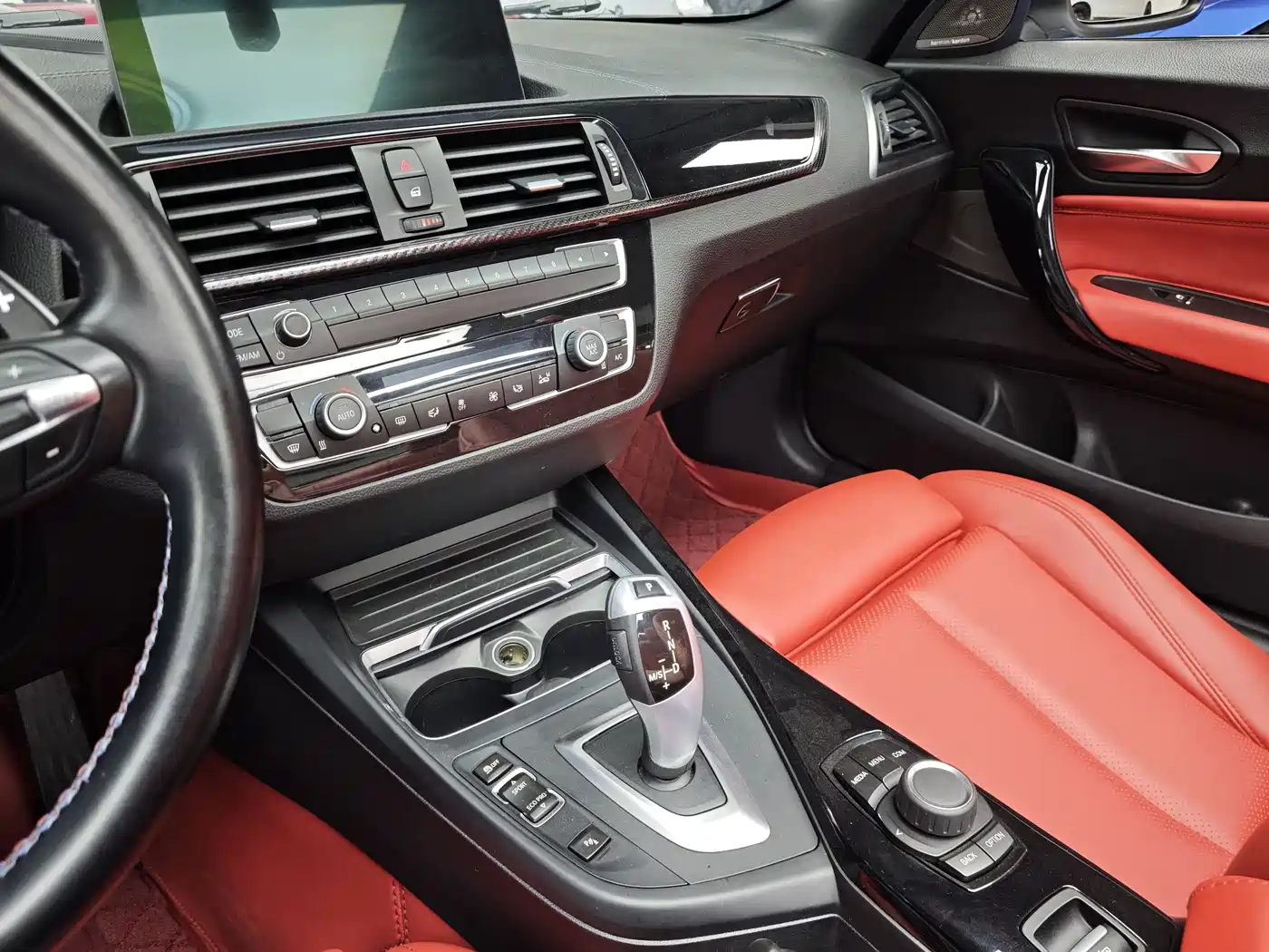 BMW 2 Series (Import) 2019 225i Convertible Coupe Sport Design Package фото 6