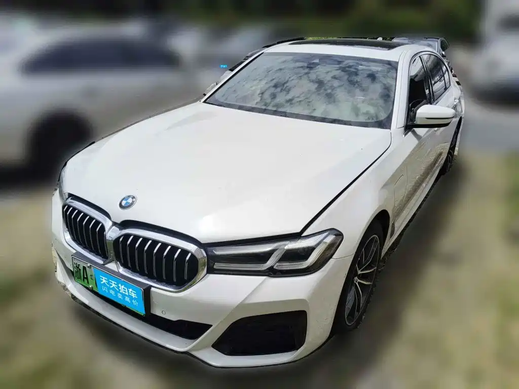  BMW BMW 5 Series New Energy 2021 Facelift 535Le M Sport Package