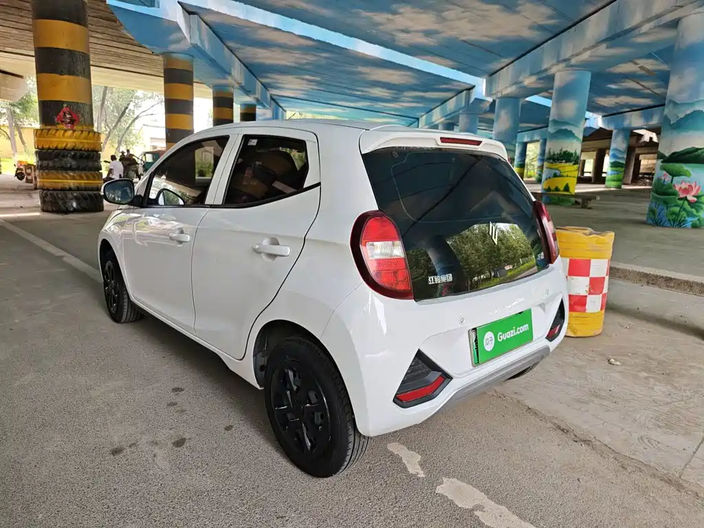 JMCG New Energy Little Kirin 2024 2023 Model Lucky Edition 201km Comfort