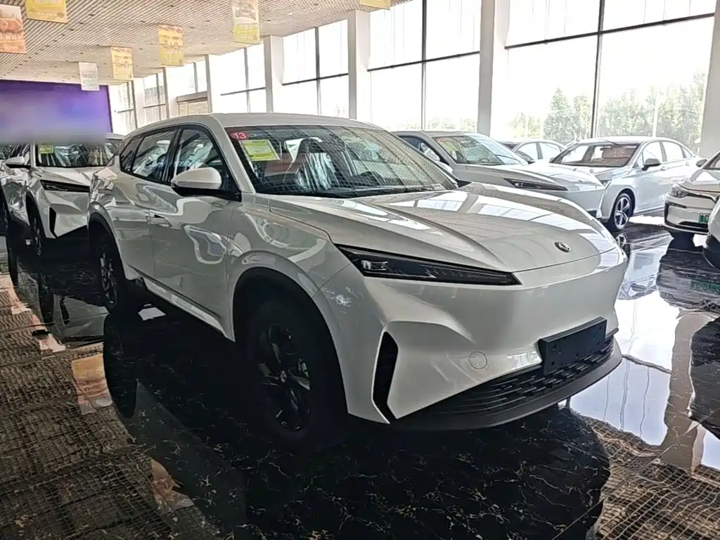 Фото 22 - Dongfeng Aeolus SKY EV01