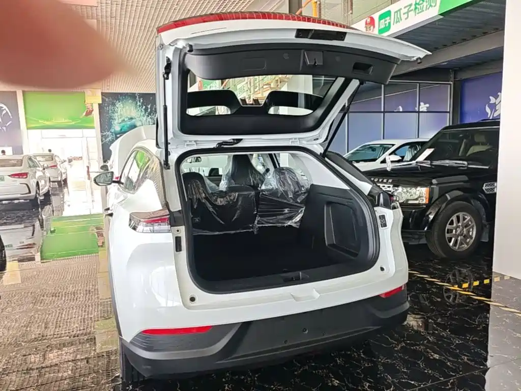 Фото 15 - Dongfeng Aeolus SKY EV01