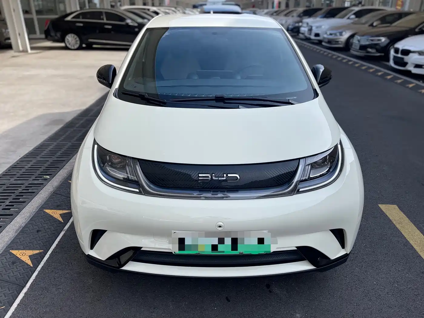 2026 BYD Dolphin