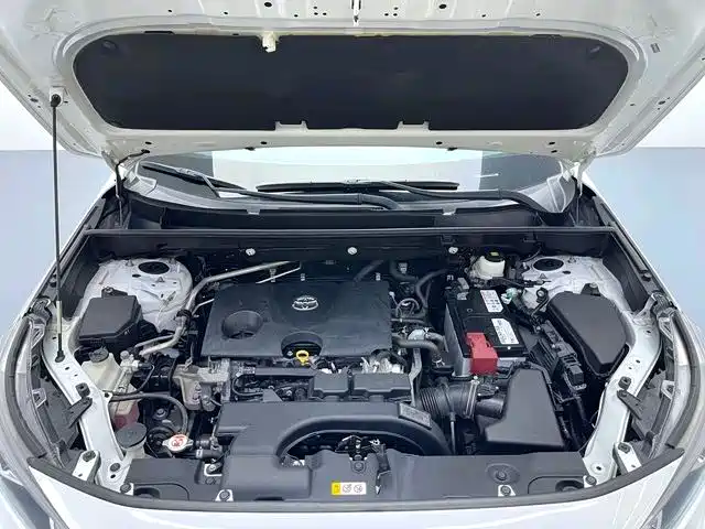 Toyota Wildlander 2020 2.0L CVT 2WD Premium фото 17