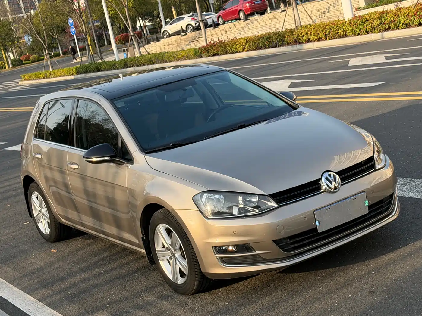 Volkswagen Golf 2017 1.6L Auto Comfort Millionth Edition фото 3