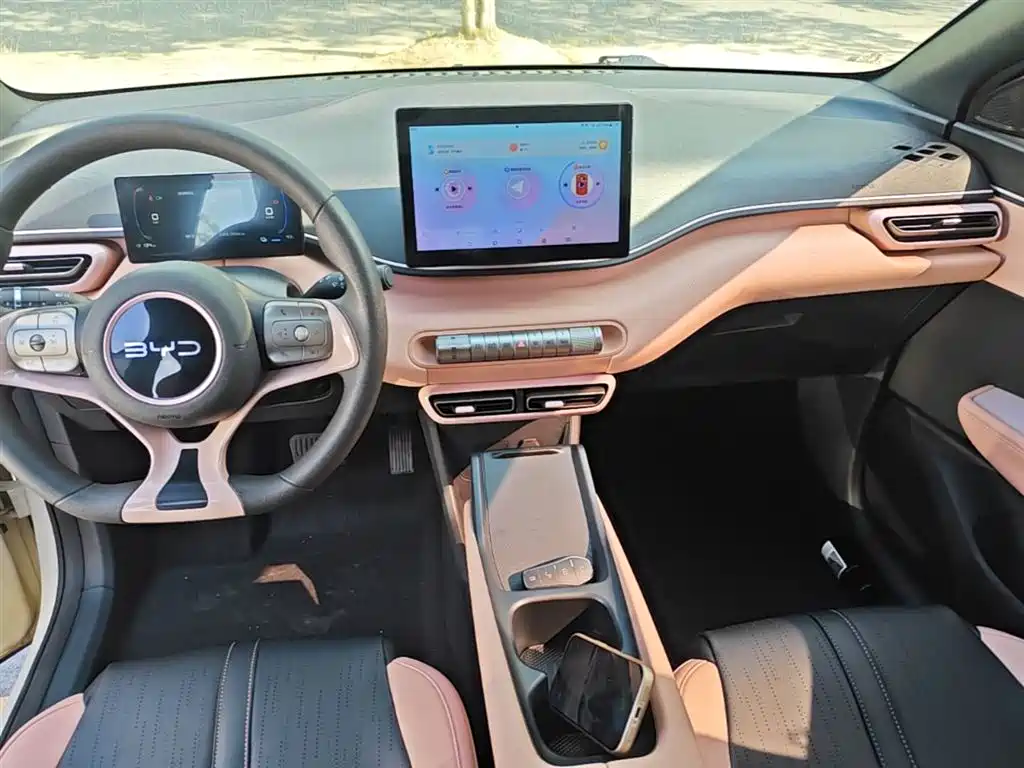 BYD Seagull 2024 Glory Edition 305km Vitality Edition фото 13