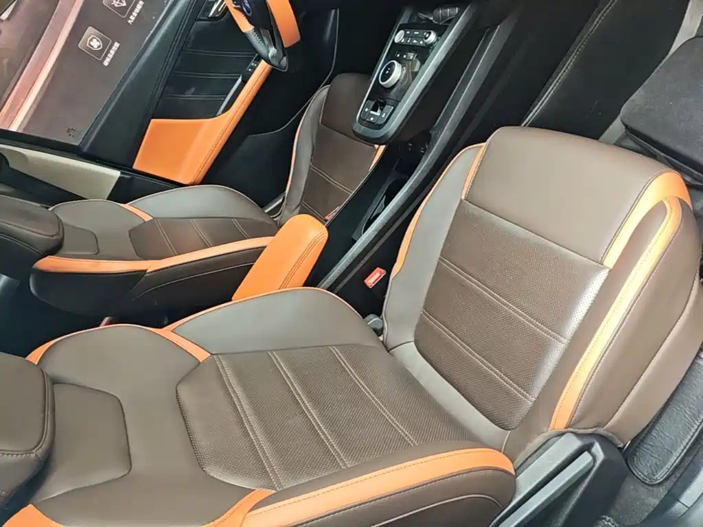 BYD e2 2022 2021 Luxury Edition